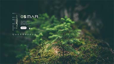 sylva rainmeter skin